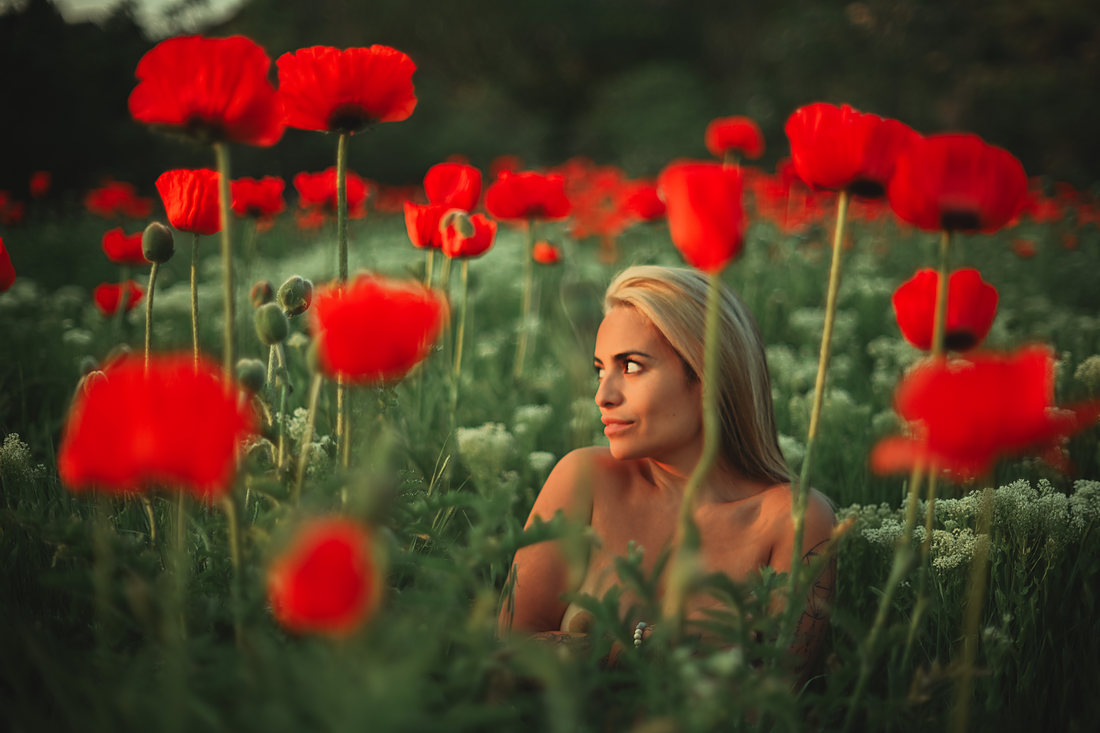 Portrait among wild red poppies